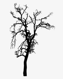 Silhouette Tree Images Png, Transparent Png, Transparent PNG