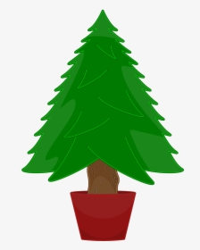 Bare Christmas Tree Clip Art - Christmas Tree Not Decorated, HD Png Download, Transparent PNG