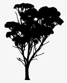 Bare Tree Silhouette Clip Art - Silhouette, HD Png Download, Transparent PNG