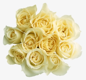 Rosas Blancas - Obrazki Miłego Wieczoru, HD Png Download, Transparent PNG