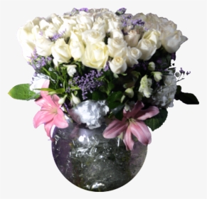 Transparent Rosas Blancas Png - Garden Roses, Png Download, Transparent PNG