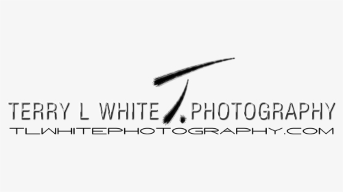 White Photography - Graphic Design, HD Png Download, Transparent PNG