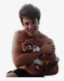 #overlays #complex #singers #people #overlay #png #pngs - Shawn Mendes Holding A Cat, Transparent Png, Transparent PNG