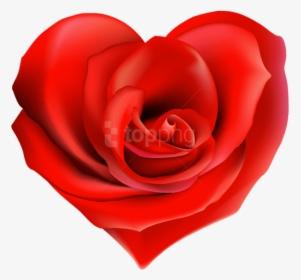 Heart Decorations, Heart Images, Heart Pictures, Hearts - Transparent Hearts And Roses, HD Png Download, Transparent PNG