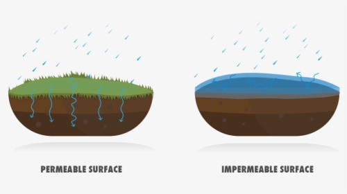 Permeable Vs Impermeable, HD Png Download, Transparent PNG