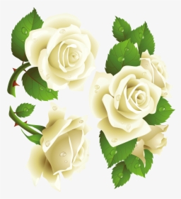Rosas Blancas, HD Png Download, Transparent PNG