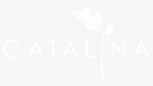 Diseño Floral, Decoración Y Organización De Eventos - Oxford University Logo White, HD Png Download, Transparent PNG