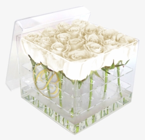 Caja De Acrílico Rosas Blancas - Caja Acrilica Con Rosas, HD Png Download, Transparent PNG