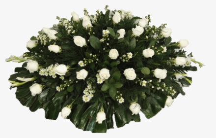 Funeraria Reyna Caborca Sonora, HD Png Download, Transparent PNG