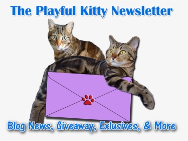 Subscribe To Our Newsletter - Cat Grabs Treat, HD Png Download, Transparent PNG