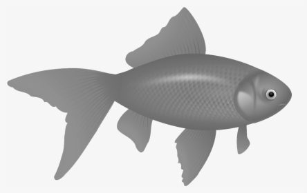 Transparent Background Fish Clipart Free, HD Png Download, Transparent PNG