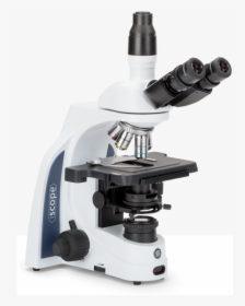 Transparent Microscope Vector Png - Microscope Euromex Ec 1153, Png Download, Transparent PNG