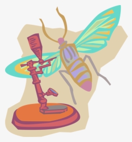 Vector Illustration Of Entomology Insect Research With, HD Png Download, Transparent PNG