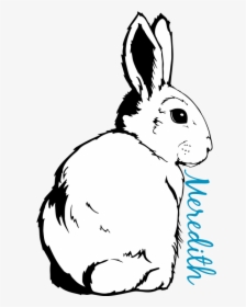Transparent Rabbit Outline Png - Domestic Rabbit, Png Download, Transparent PNG