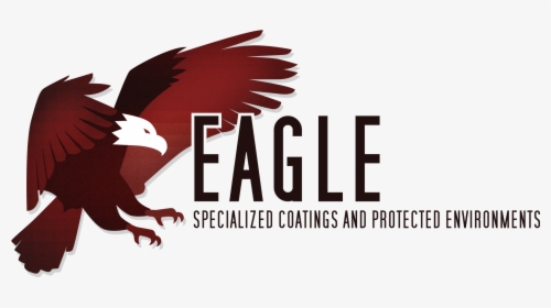 Transparent Bald Eagle Png - Red-tailed Hawk, Png Download, Transparent PNG