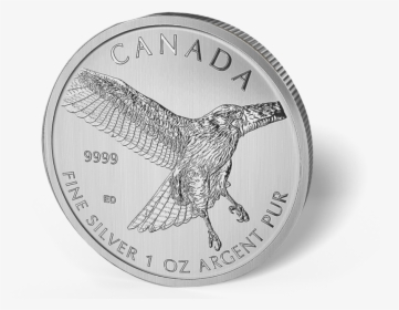 2015 Canadian 1oz Silver Red Tailed Hawk $5 Coin, HD Png Download, Transparent PNG