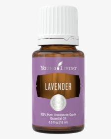 Lavender - Young Living Lavender Essential Oil Png, Transparent Png, Transparent PNG
