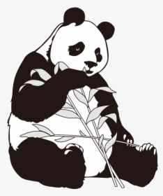Giant Panda Bamboo Clip Art - Giant Panda Cartoon Png, Transparent Png, Transparent PNG