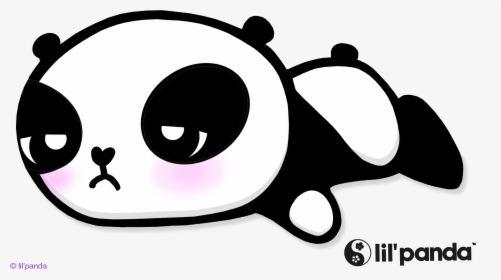 Panda Cute Lil Kawaii - Sleeping Pands Transparent, HD Png Download, Transparent PNG