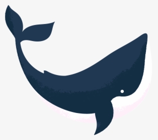 Orca Reviewed By Abbie Cheesman At Whale And Dolphin, HD Png Download, Transparent PNG