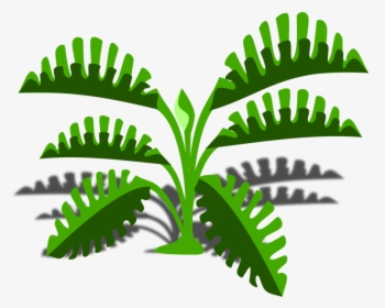 Plant,grass,leaf - Drawing Cartoon Fern, HD Png Download, Transparent PNG