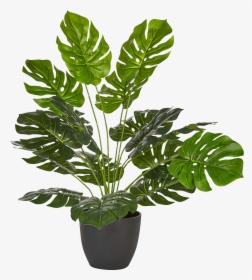 Philodendron Artificiel En Pot H50cm-philo - Flowerpot, HD Png Download, Transparent PNG