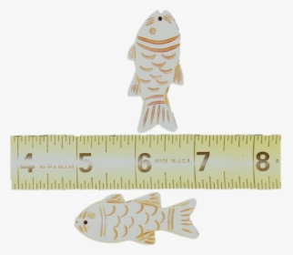 Real Bone Carved Fish - Ruler, HD Png Download, Transparent PNG
