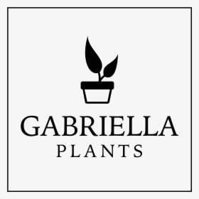 Gabriella Plants, HD Png Download, Transparent PNG