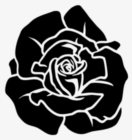 White,black And White,monochrome Roses,herbaceous Plant,style,rose - Garden Roses, HD Png Download, Transparent PNG