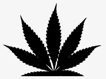 Weed Plant Vector, HD Png Download, Transparent PNG