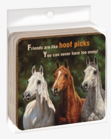 Ec04861 Hoof Picks Ecocoaster Set   Title Ec04861 Hoof - Welcome With A Horse, HD Png Download, Transparent PNG