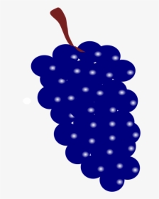 Blue Grape Clipart, Hd Png Download , Png Download - Blue Grapes Clipart, Transparent Png, Transparent PNG