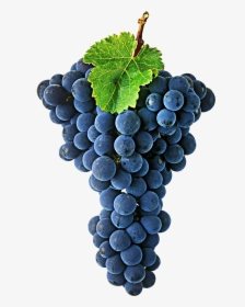 Grape Transparent Wine - Cabernet Sauvignon Png, Png Download, Transparent PNG