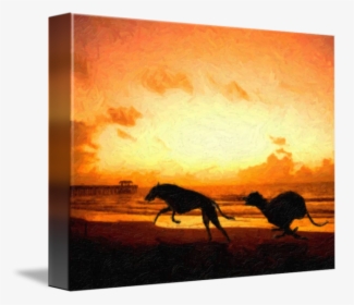 Greyhound Painting Canvas Print Art - Greyhounds On Beach, HD Png Download, Transparent PNG