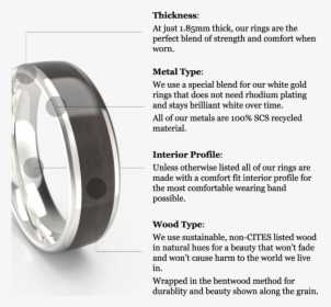 Image Of Ring Benefits - Titanium Ring, HD Png Download, Transparent PNG