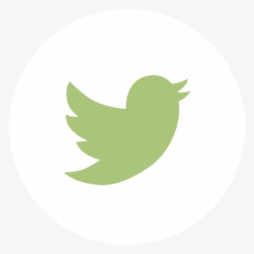 Twitter Grey Logo Png , Transparent Cartoons - Twitter Logo Grey Transparent, Png Download, Transparent PNG