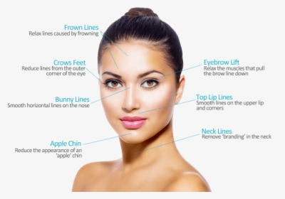 Botox Areas - Facial Aesthetics, HD Png Download, Transparent PNG
