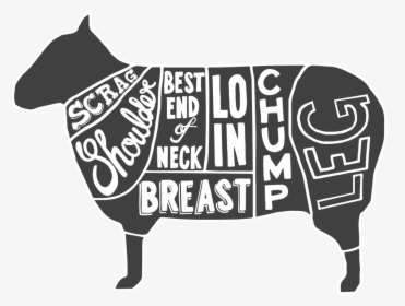 Cuts Of Meat Sheep, HD Png Download, Transparent PNG