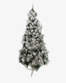 Transparent Guirnaldas Navideñas Png - Christmas Tree, Png Download, Transparent PNG