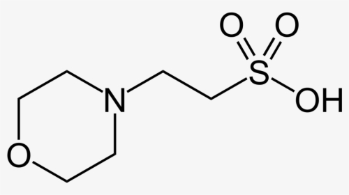 4 Hydrazino Benzenesulfonamide Hydrochloride, HD Png Download, Transparent PNG