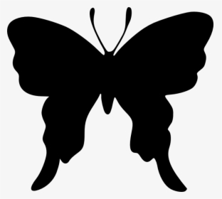 Brush-footed Butterflies Butterfly Silhouette Drawing - Draw A Butterfly Silhouette, HD Png Download, Transparent PNG