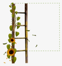 #square #green #frame #ladder #sunflower #flowers #borders - Border Transparent Background Sunflower Png, Png Download, Transparent PNG