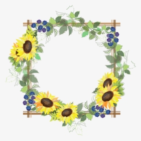 Transparent Sunflower Frame Background, HD Png Download, Transparent PNG