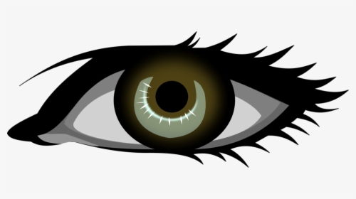 Collection Of No - Blue Eye Clip Art, HD Png Download, Transparent PNG