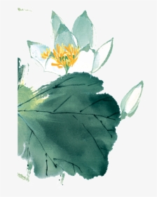 Chinese Painting Lotus Png - 荷花 水墨, Transparent Png, Transparent PNG