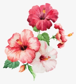 Painting Watercolour Flowers, HD Png Download, Transparent PNG