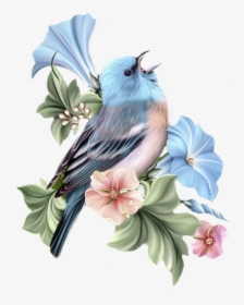 Transparent Watercolor Bird Png - Beautiful Bird And Flower Art, Png Download, Transparent PNG