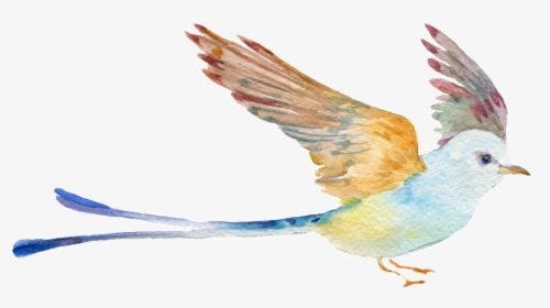Hand Painted Watercolor Bird Png Transparent - Bluebird, Png Download, Transparent PNG
