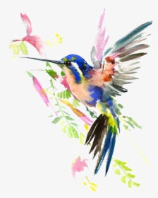 Ftestickers Watercolor Nature Hummingbird, HD Png Download, Transparent PNG