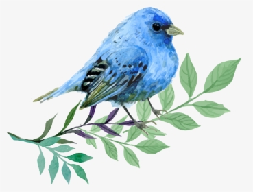 Image Library Stock Hand Painted Cartoon Watercolor - Free Indigo Bird Download, HD Png Download, Transparent PNG